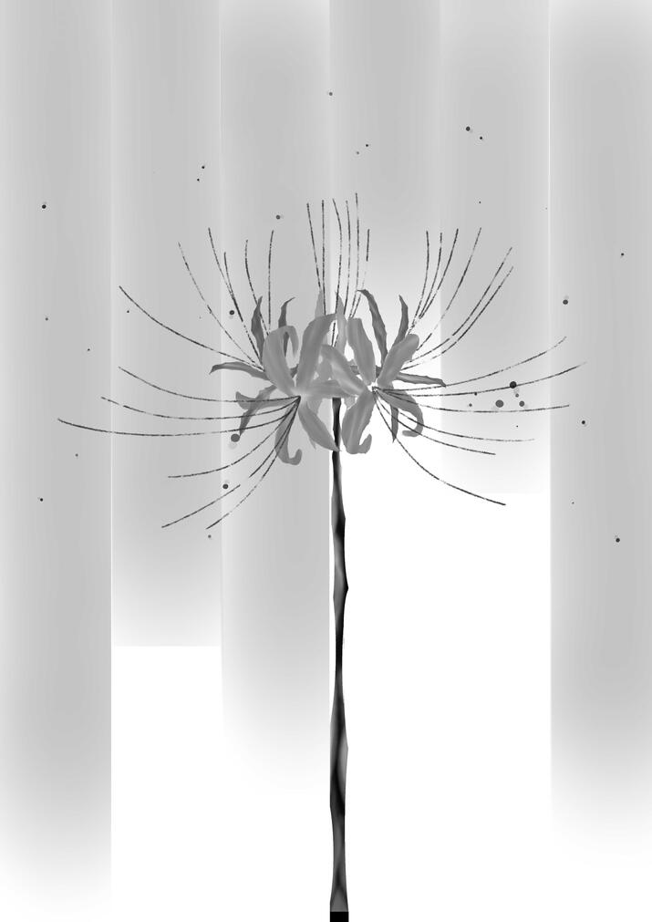 spider lily - 彼岸花